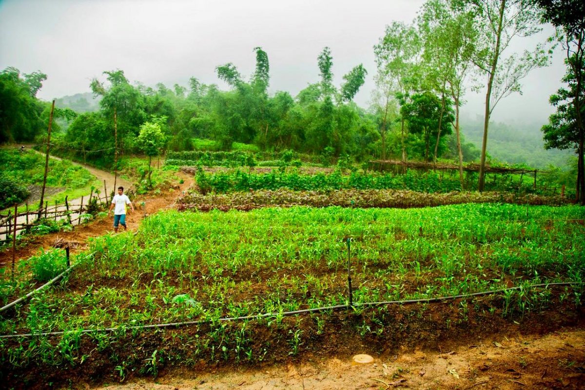 Trung tâm giải cứu Aquila Center